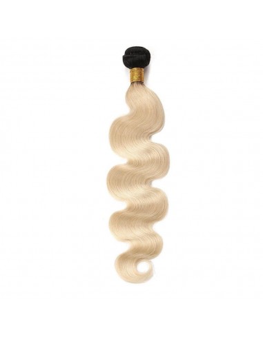 Tissage Body Wave Blond 1B/613 Dans la société mordern